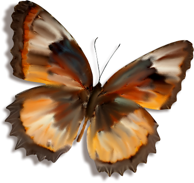 őszi állatok_95.png